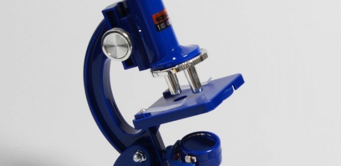 Полу-блеф под микроскопом