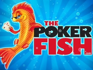 9 признаков, описывающих плохих покерных игроков