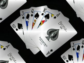 Разновидности, особенности и правила Дро Покера