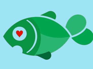 Что такое фиш в покере