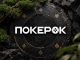 Rush&Cash Friday: ПОКЕРОК запустил две акции с кеш-дропами в двойном размере и наградами за стеки