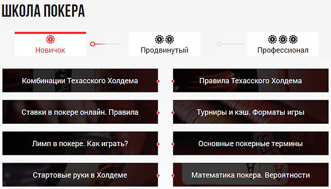 Раздел Школа